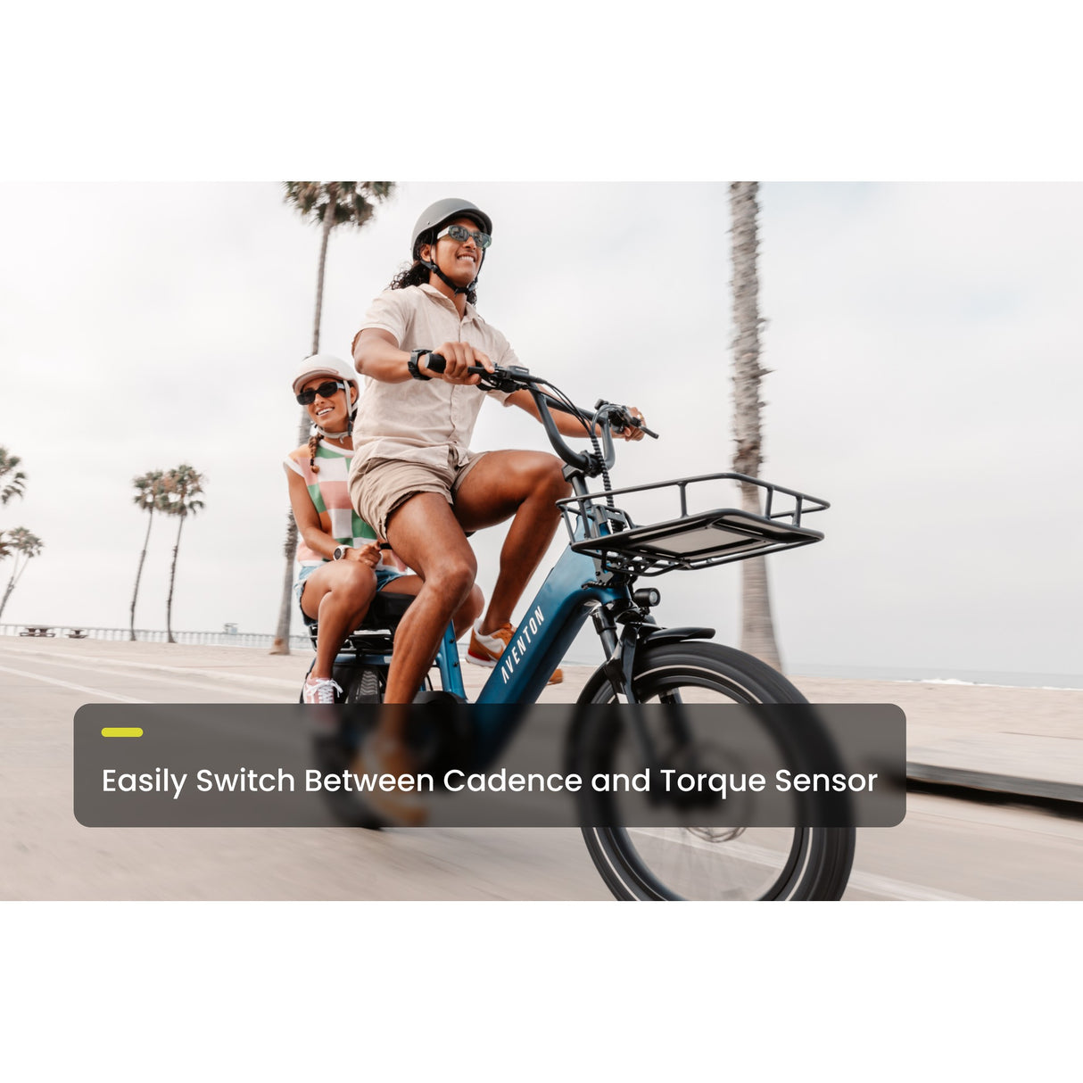 Abound SR Ebike