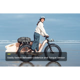 Aventure 3 Step-Through Ebike