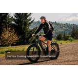 Aventure 3 Step-Through Ebike