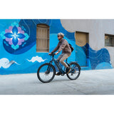 Level 4 REC Ebike