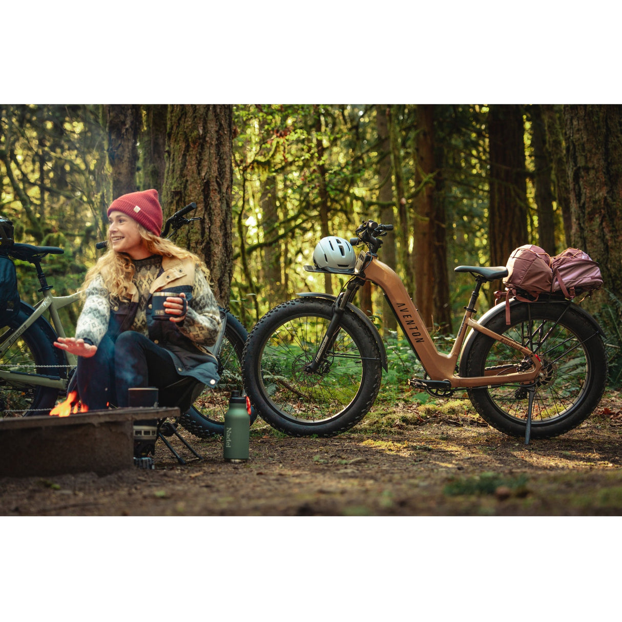 Aventure 3 Step-Through Ebike