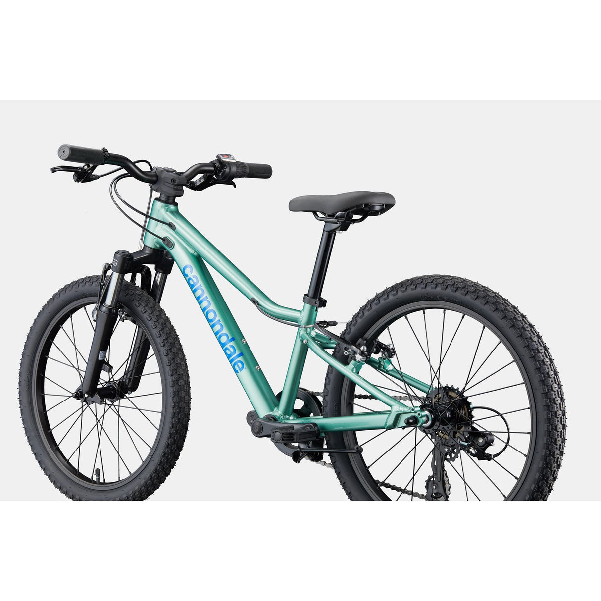 Cannondale Kid's Trail 20 Mountain Bike (Recommended for height 3'10" and 4'3")