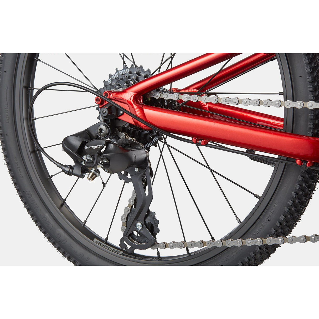Cannondale Quick 20 Kid's 7 Speed Bike (Recommended for height of 3'10" - 4'3")