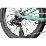 Cannondale Kid's Trail 20 Mountain Bike (Recommended for height 3'10" and 4'3")
