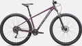 Specialized Rockhopper Hardtail Mountain Bike