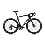New Dogma X