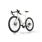 New Dogma X