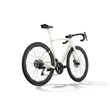 New Dogma X