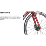 BMC Teammachine SLR TWO Road Bike