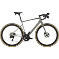 Synapse Carbon 1 RLE Carbon