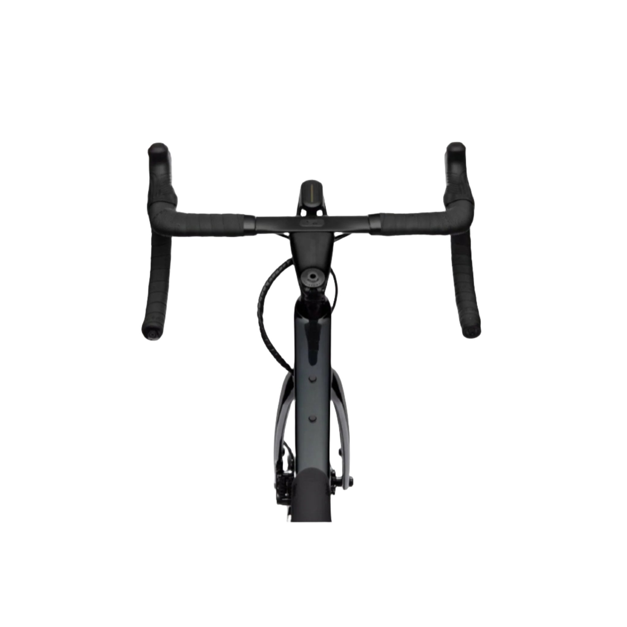 Synapse Carbon LTD RLE Carbon Road Bike