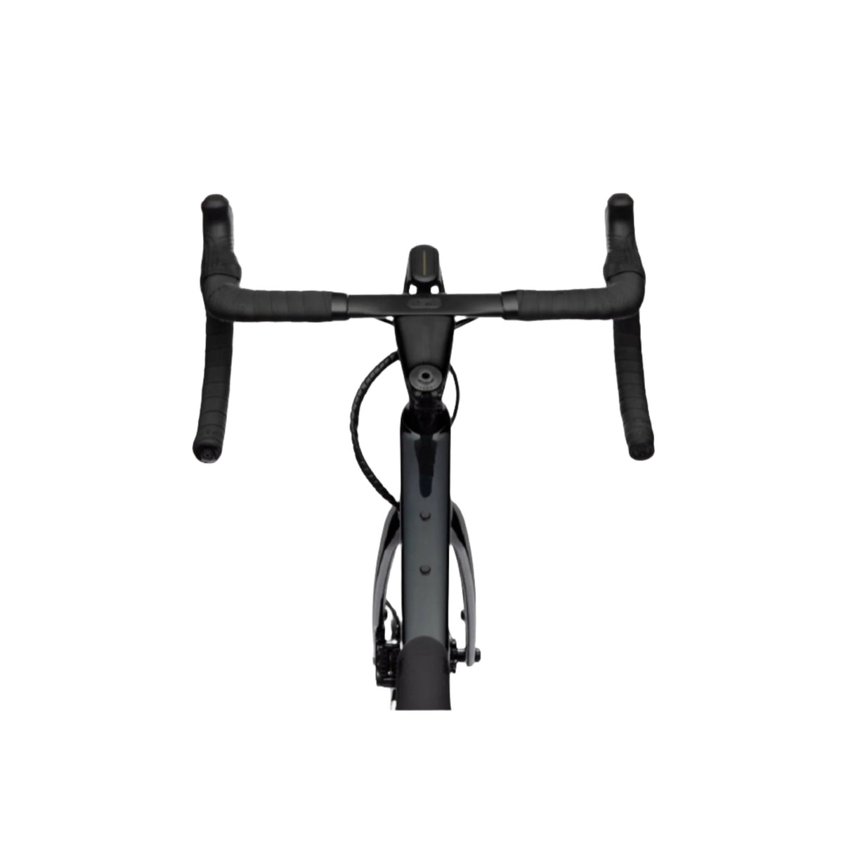Synapse Carbon LTD RLE Carbon Road Bike