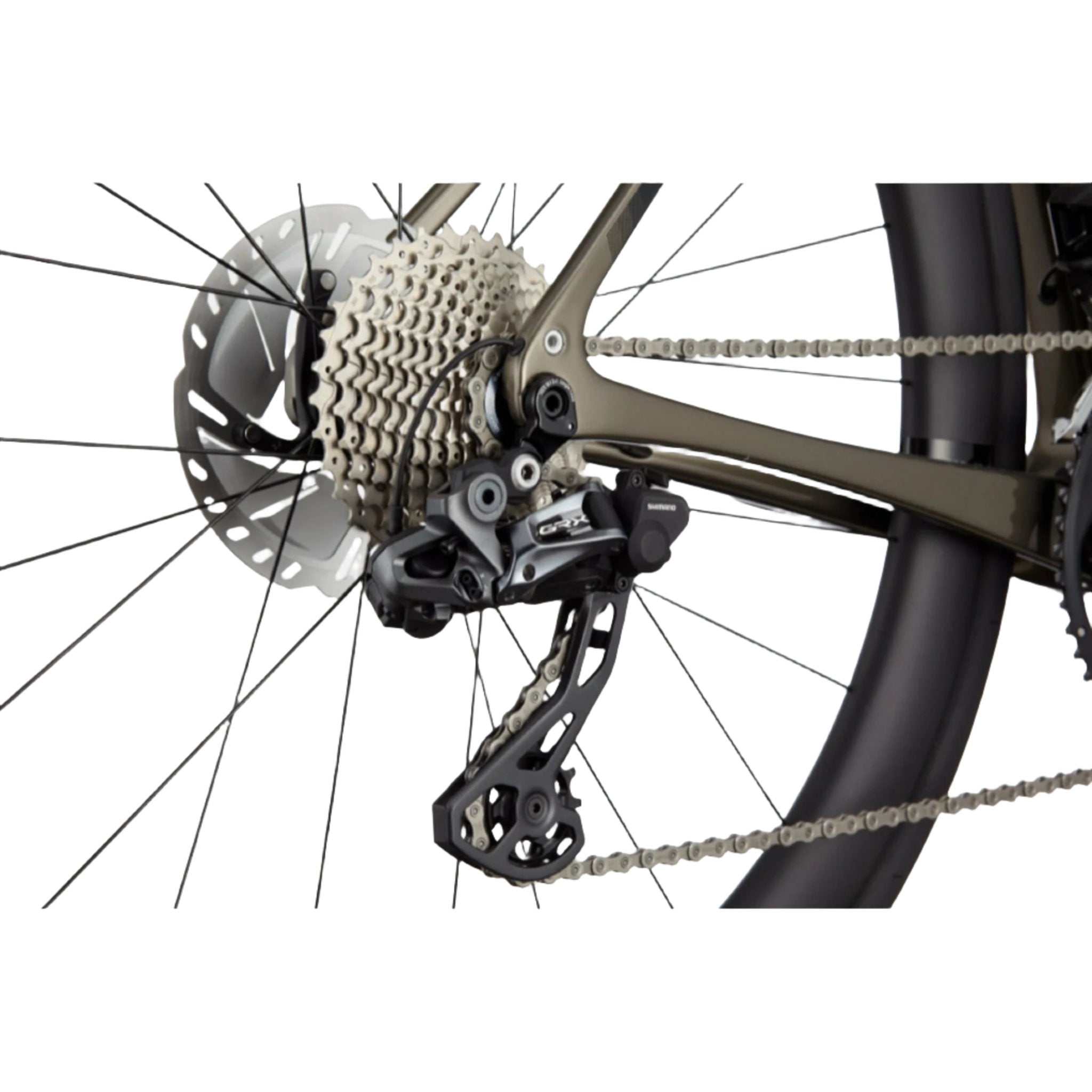Synapse Carbon LTD RLE Carbon Road Bike