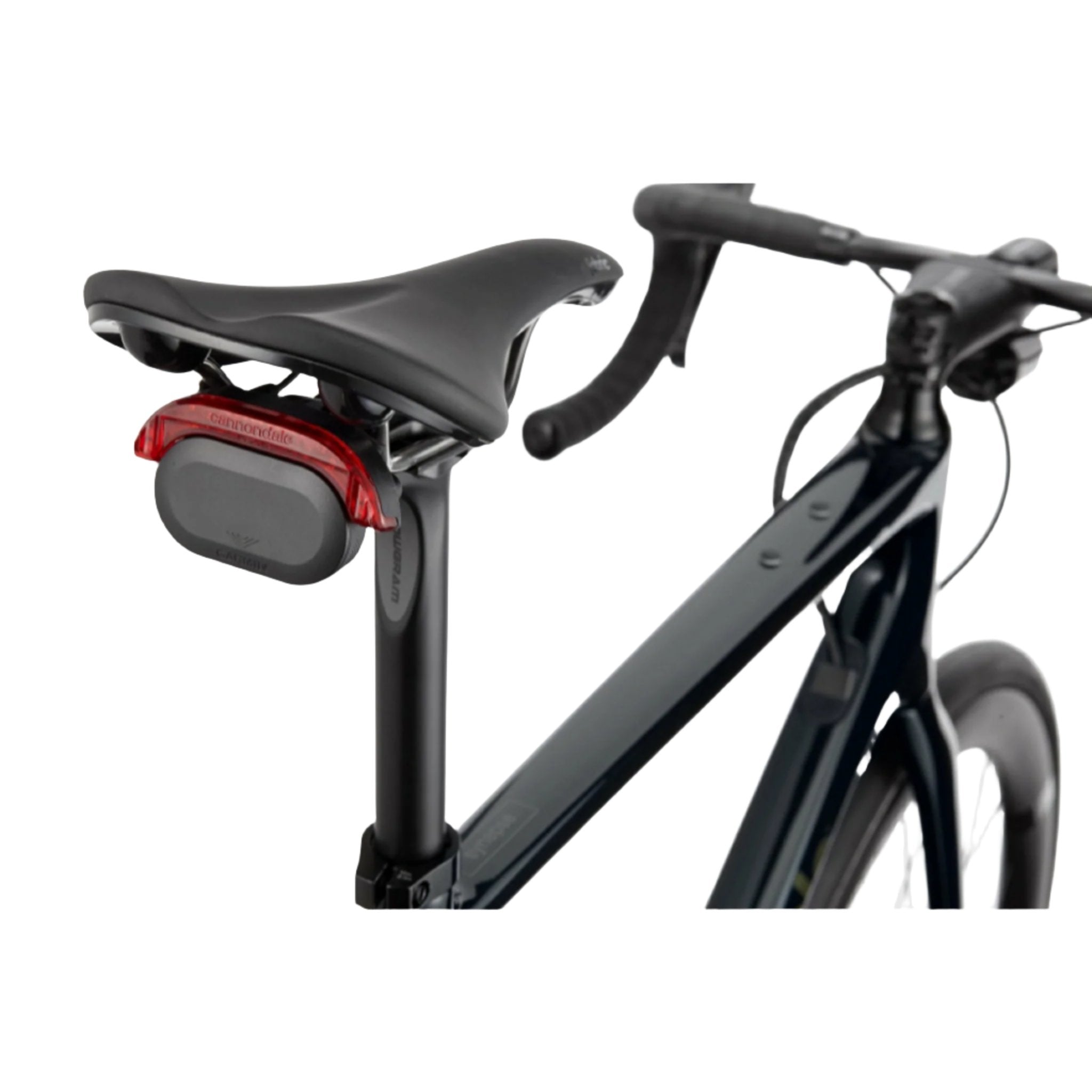 Synapse Carbon LTD RLE Carbon Road Bike