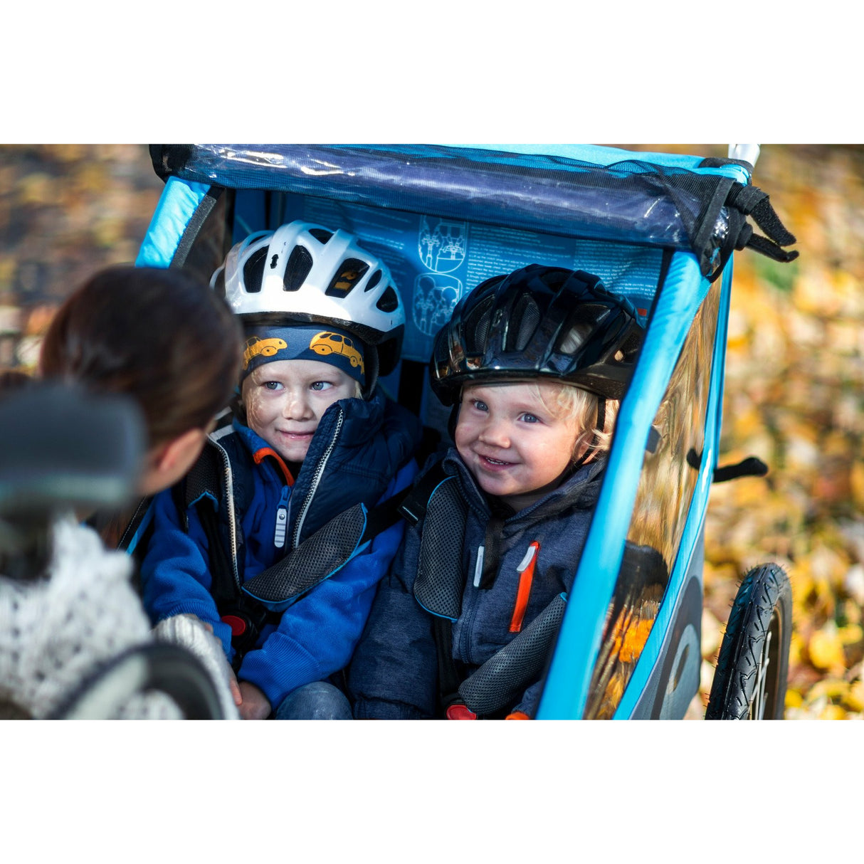 Thule Coaster XT 2 Seat Bike Trailer